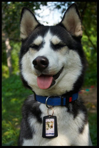 Павел Петров