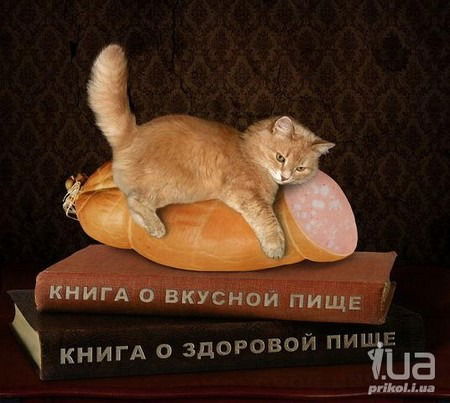 Холмск Орбита