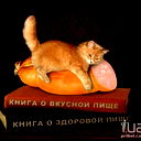 Холмск Орбита