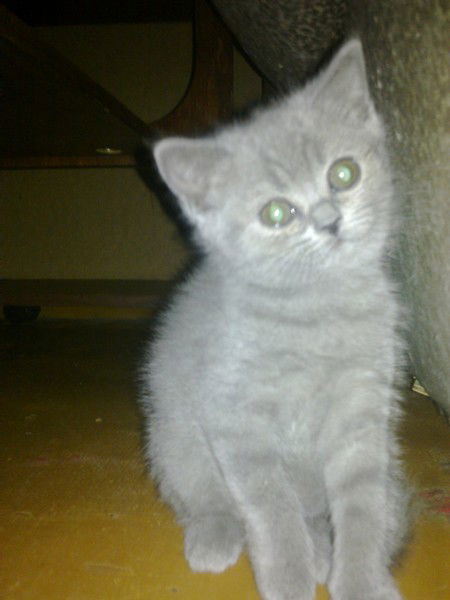 Валерий Лященко