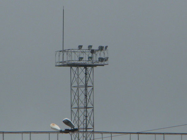 Андрей Орлов