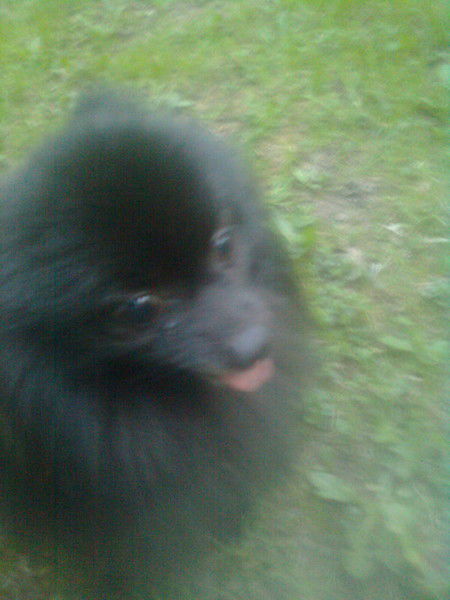 Ольга Махмудова