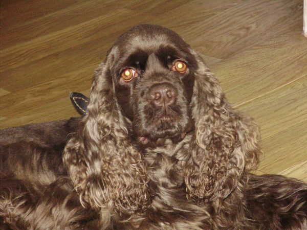 Алевтина Кучер