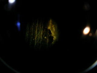 Вячеслав Таныгин