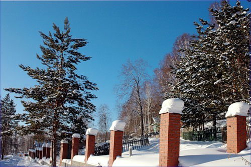 Марина Вольф