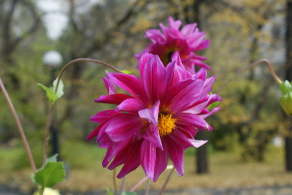 Екатерина Иванова