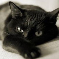 Зоя Мельник