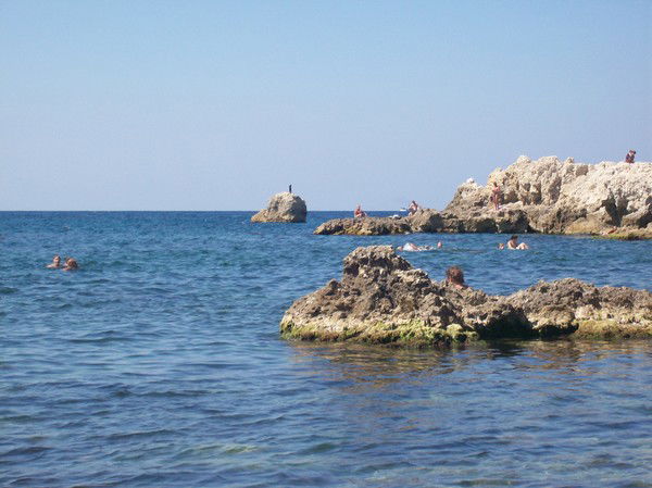 Ксения Горбунова