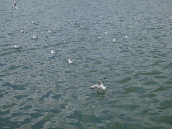 Алексей Чупретов