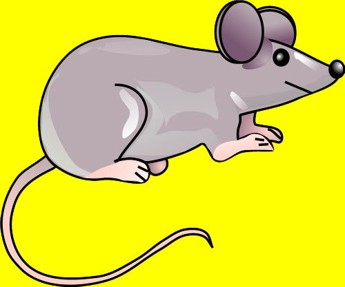 Мишка Ситников