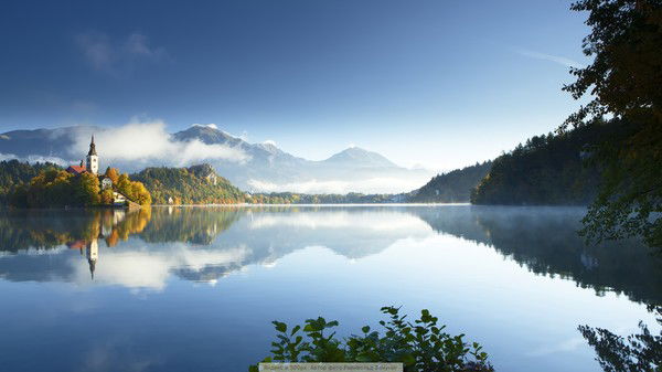 Сергей Гущин