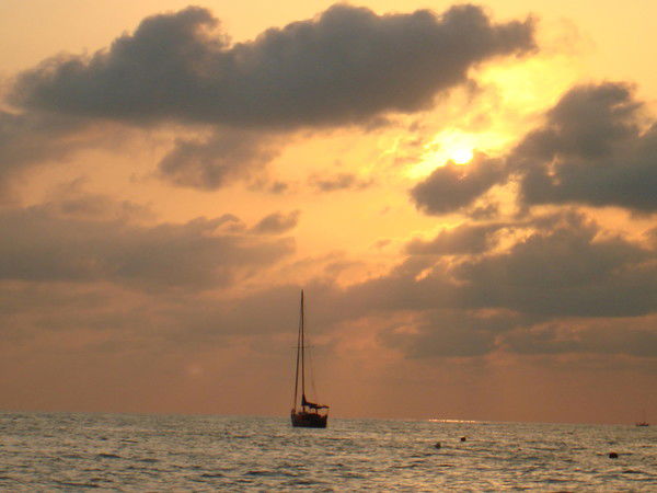 Ольга Вятчина