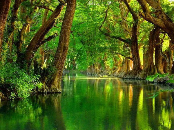 Александер Болкун