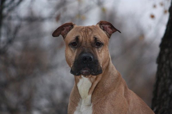 Полина Кочерова