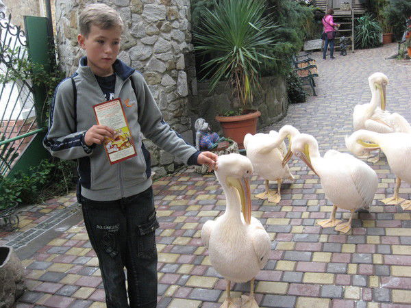 Роман Грачов