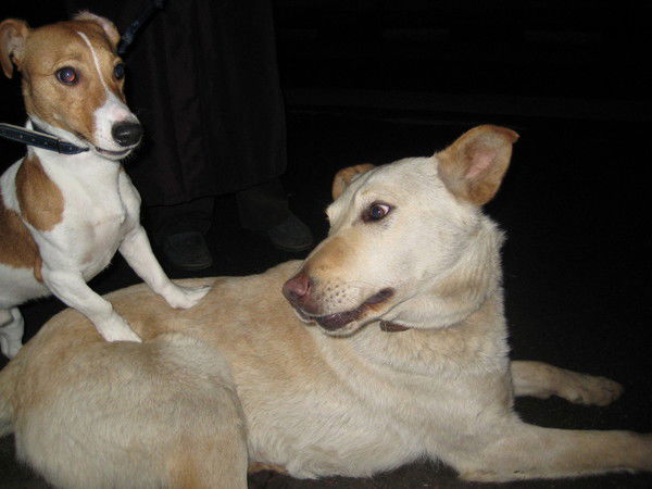 Суханов Александр