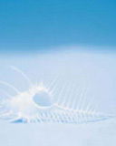 Ольга Молочко