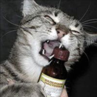 Юрий Анискин