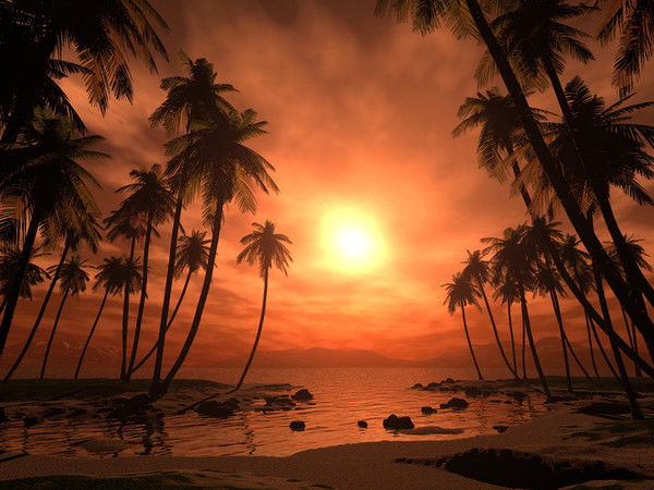 Ольга Димура