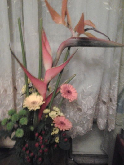 Елена Архипова