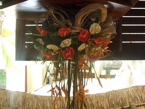 Елена Калинина