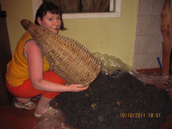 Лариса Афонасенко