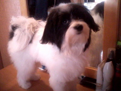 Мунира Коронова