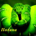 Полина Егорова