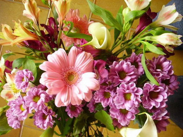 Мундуз Айбашева