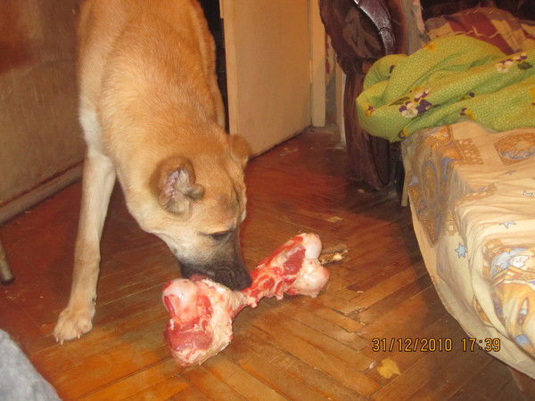 Елена Дроздова