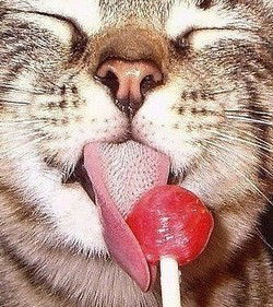 Юлия Рожнова