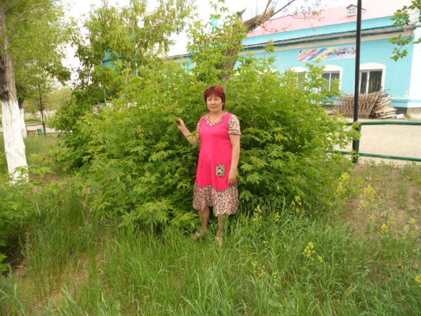 Орынша Акбалжанова