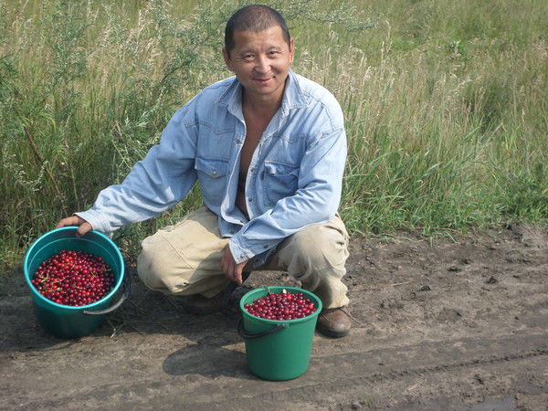 Толеген Хамзин