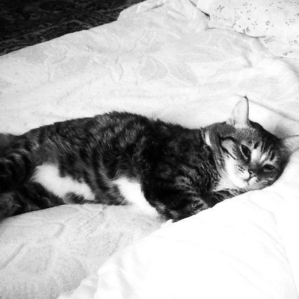 Дильназ Аймаганбетова