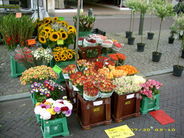 Карим Карабаев