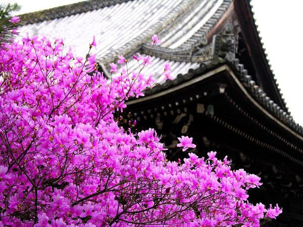 Марина Антонова