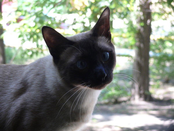 Людмила Жаворонкова