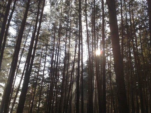 Владимир ...