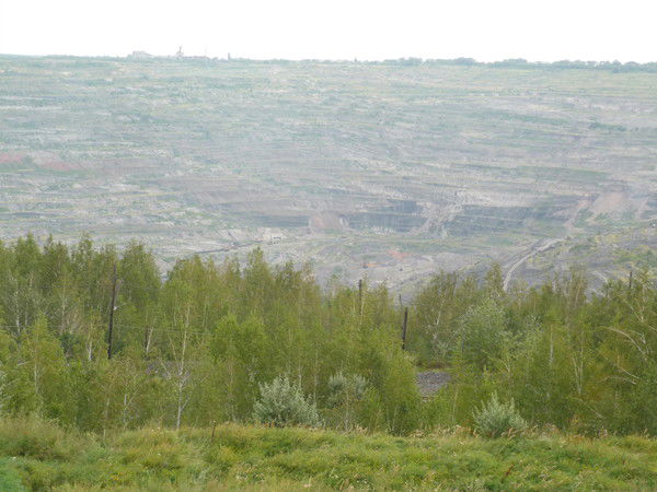 Ирина Васильева