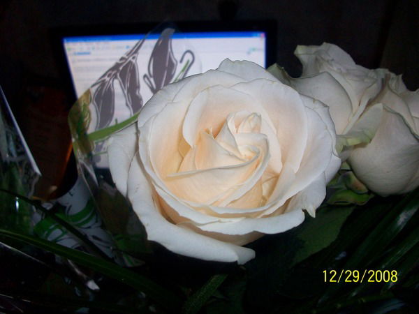 Гузель Рыжонок