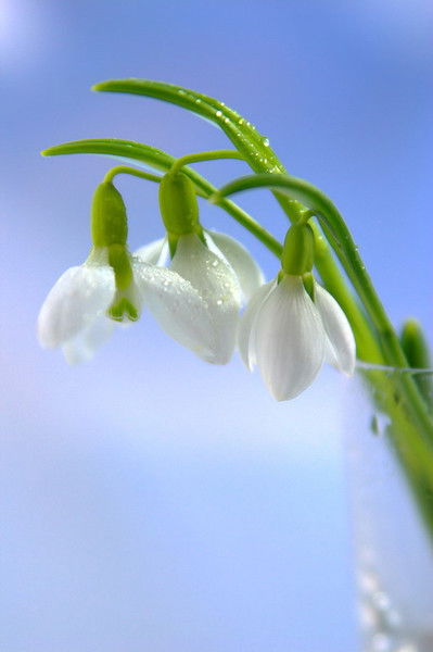 Гульнара Жаимбаева