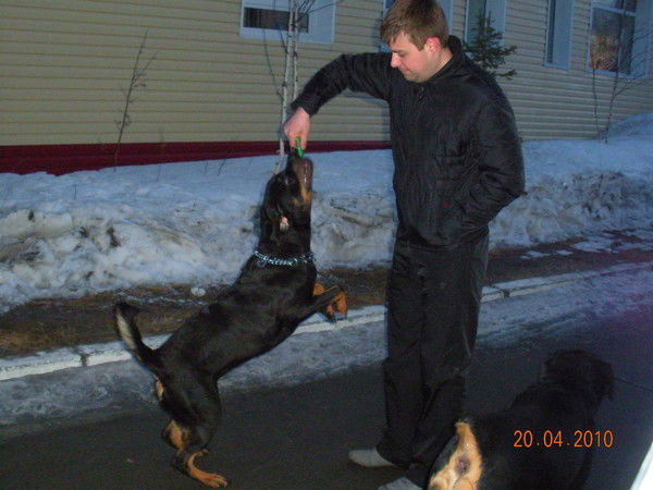 Антон Шевляков