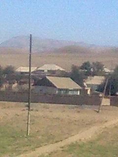 Серый Леженин