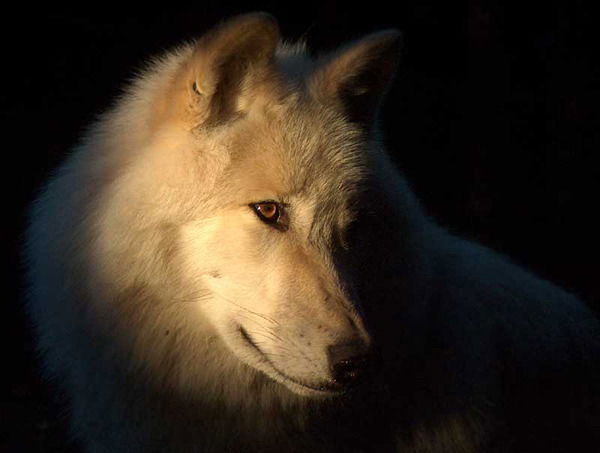 Роза Мухина