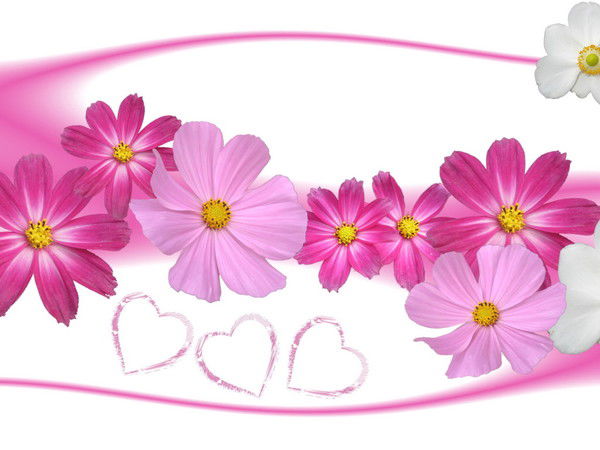 Инна Мирошниченко