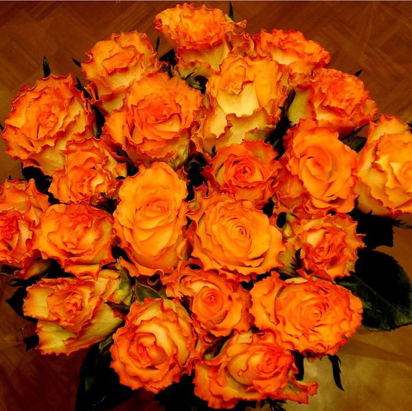 Елена Журбенко