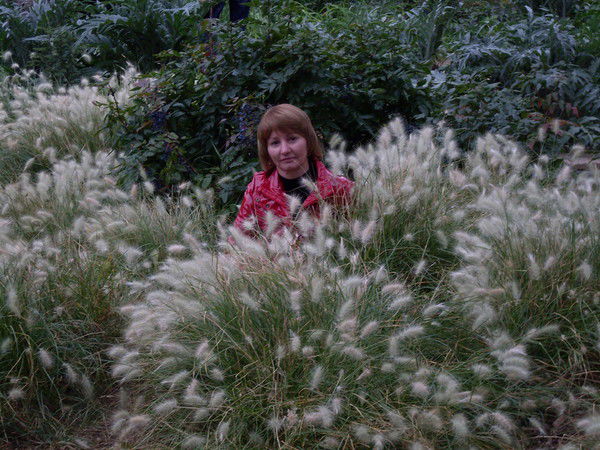 Светлана Семеновская