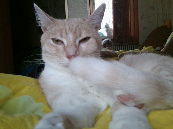 Маргарита Алехина