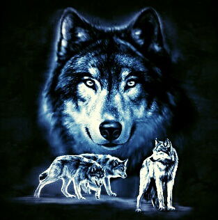 Максим Трунов