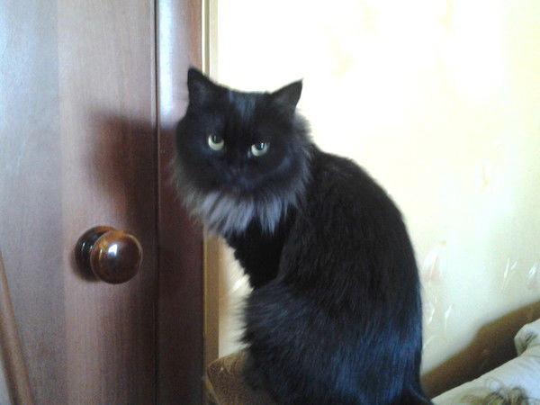 Ольга Гостькова